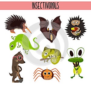 Cartoon Set of Cute Animals insectivores living in different parts of the world forests and tropical jungle .A bat, a lizard, hedg