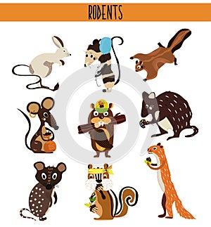 Cartoon Set of Cute Animals rodents living on the planet .Squirrel, mouse, opossum, Coney, beaver, Chipmunk, quoll, quokka . Vecto