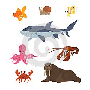 Cartoon set: goldfish snail shark fish butterfly octopus crab walrus lobster.