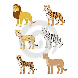 Cartoon set lion tiger leopard white tiger puma ocelot.