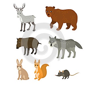 Cartoon set: northern deer bear boar wolf rabbit squirrel mouse