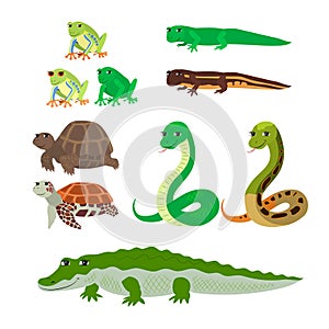 Cartoon set: tree frog newt aquatic turtle snake crocodile