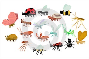 Cartoon set of various funny insects. Mite, mosquito, firebug, ladybug, fly, spider, butterfly, dragonfly, bee, wasp
