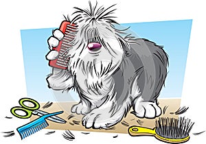 Cartoon shaggy dog photo