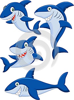 Cartoon shark collection set