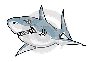 Cartoon shark