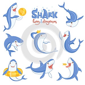 Cartoon shark swimming. Ocean big teeth blue fish smiling and angry vector illustrations of mammals characters in