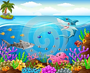 Cartoon shark under the sea