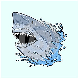 Cartoon shark vector mascot . Angry scary smile and teeth