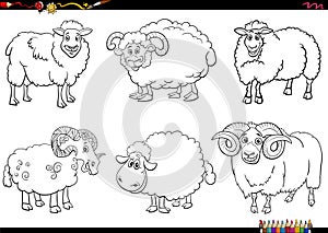 cartoon sheep farm animal characters set coloring page