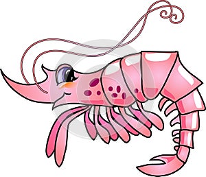 Cartoon Shrimp photo