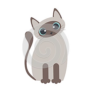 Cartoon Siamese cat with big light blue eyes isolated on a white background.
