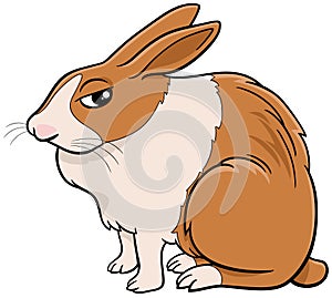 cartoon sitting miniature rabbit comic animal character