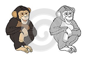 Cartoon sketch scene animal ape chimpanzee - illustration