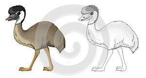 Cartoon sketch scene with emu bird illustration