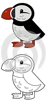 Cartoon sketch scene with flying bird puffin isolated on white background illustration