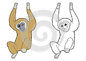 Cartoon sketch scene with monkey ape on white background - illustration