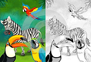 Cartoon sketch scene with zebra in the forest - illustration