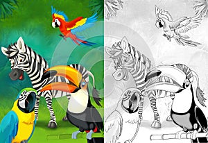 Cartoon sketch scene with zebra in the forest - illustration