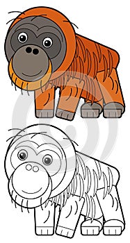 cartoon sketchbook asian scene with asian animal monkey ape orangutan on white background illustration