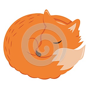 Cartoon Sleeping Fox