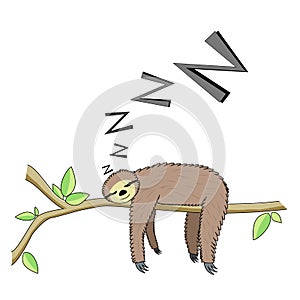 Cartoon sleeping sloth