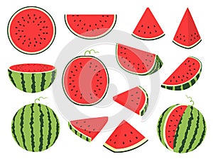 Cartoon slice watermelon. Green striped berry with red pulp and brown bones, cut and chopped fruit, half and sliced on