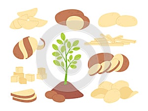 Cartoon sliced potatoes raw ingredients. White potato sticks, slice and cubes. Prepare vegetables for meals. Fresh