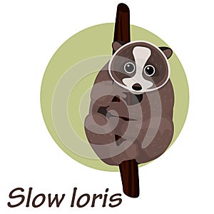 Cartoon slow loris on a tree vector illustration