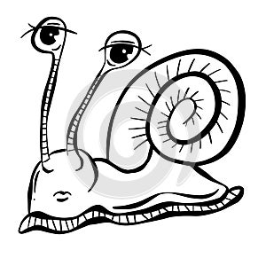 Cartoon Slug Snail Funny Illustration with Eyes