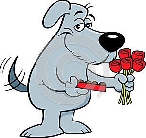 Cartoon smiling dog holding a box of chocolates and a bouquet of roses.