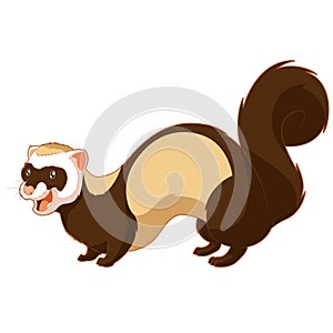 Cartoon smiling ferret