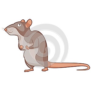 Cartoon smiling Rat