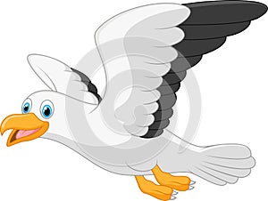 Cartoon smiling seagull photo