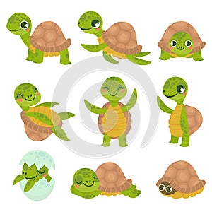 Cartoon smiling turtle. Funny little turtles, walking and swim tortoise animals vector set