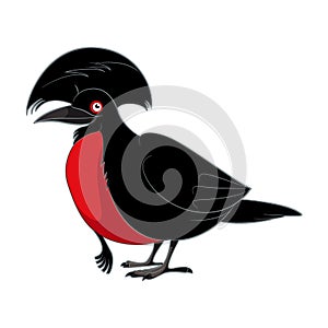 Cartoon smiling umbrellabird