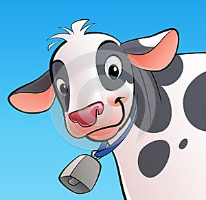 Smiling cow with a cowbell photo