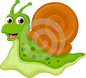 Cartoon snail for you design