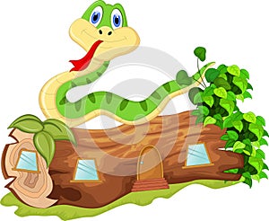 Cartoon snake for you design