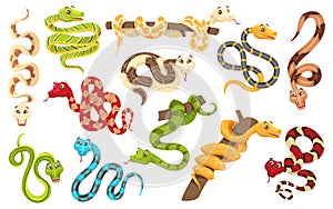 Cartoon snakes in various poses. Anaconda mascot, cute snake and funny tropical reptile vector characters set