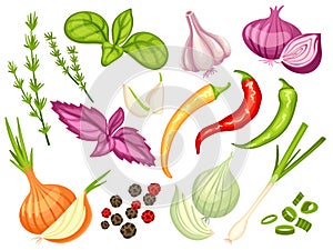 Cartoon spices. Onion, garlic and chili peppers. Spicy sauce ingredients, basil green leaves and dried pepper. Vegetable