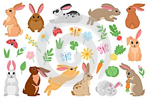 Cartoon spring bunny, cute easter rabbits with carrot and flowers. Spring bunny pets, white and brown rabbit characters vector