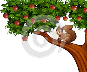 Cartoon squirrel on apple tree