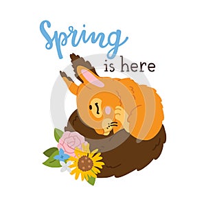 cartoon squirrel baby sleeping and hand drawn lettering