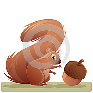 Cartoon squirrel character reaching an acorn isolated vector ill