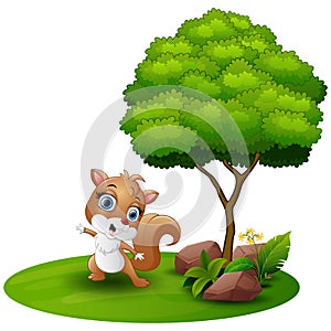 Cartoon squirrel dancing under a tree on a white background