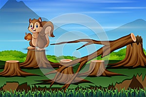 Cartoon a squirrel in deforestation scene