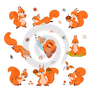 Cartoon squirrel. Forest funny squirrels in different poses. Animals sleep, storing food for winter, play and meditation