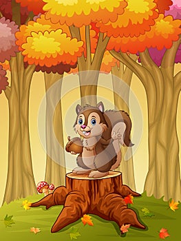 Cartoon squirrel holding acorn in the forest