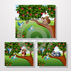 Cartoon squirrel and racoon on the apple tree collections